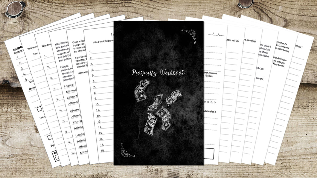 Prosperity Workbook -